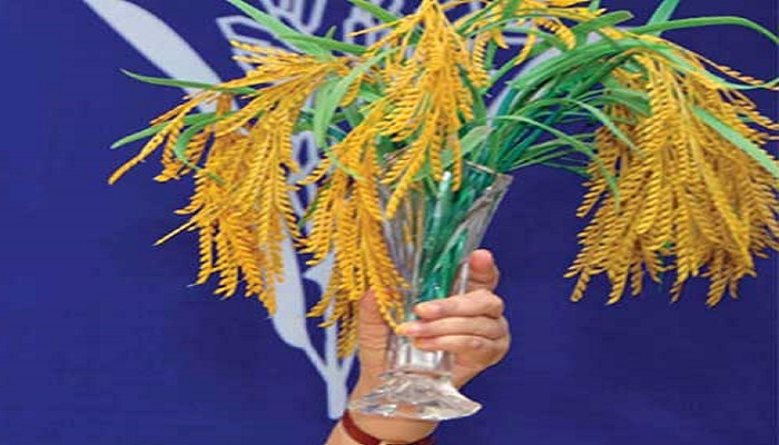 একনজরে দেখে নিন, বিএনপির ২৩৭ আসনে প্রার্থী কারা