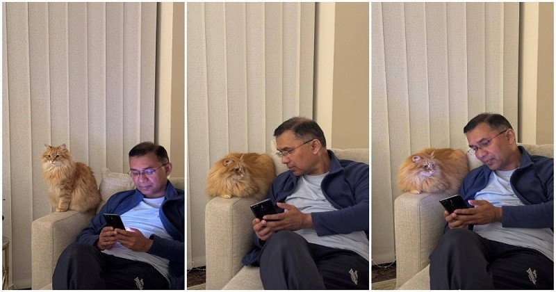 পাসপোর্ট ও অনুমোদন পেয়েছে তারেক রহমানের আদরের সেই পোষা বিড়াল