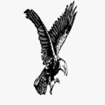 ঈগল