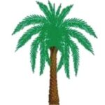 খেজুর গাছ